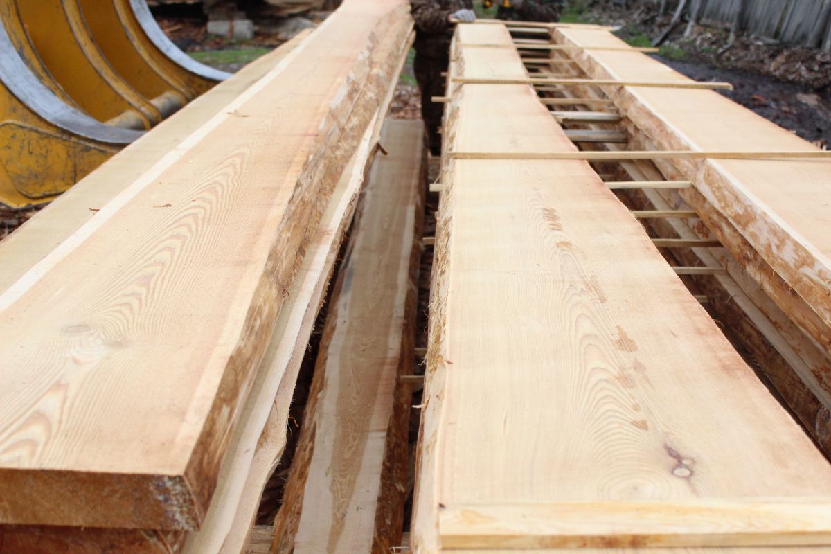 Larch from the Siberian manufacturer