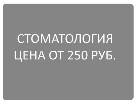 стоматалогия для домашних животных в Волгограде