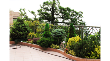 Озеленение  в Сочи. Ландшафтный дизайн 