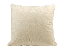 Подушка Лён, политик