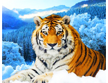 Тигр на фоне зимнего леса Ah10701 (алмазная мозаика)  mgm-mt avmn