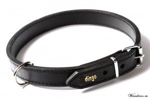 DINGO ошейник для собак кожаный, черный, ширина - 2 см, длина - 50 см