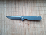 Нож складной Ganzo Firebird FH12-SS