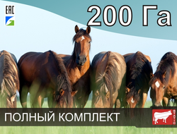 Электропастух СТАТИК-3М для лошадей на 200 Га - Удержит даже самого резвого скакуна!