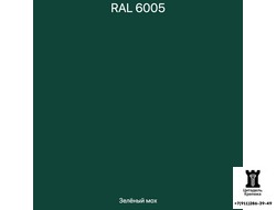RAL 6005 - Зелёный мох