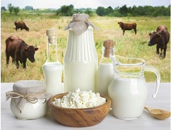 Молоко коровье деревенское и кисломолочные продукты купить с доставкой на дом