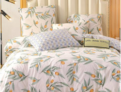 Комплект постельного белья из Сатина 100% хлопок цвет Облепиха (размер 2 спальный)  C570