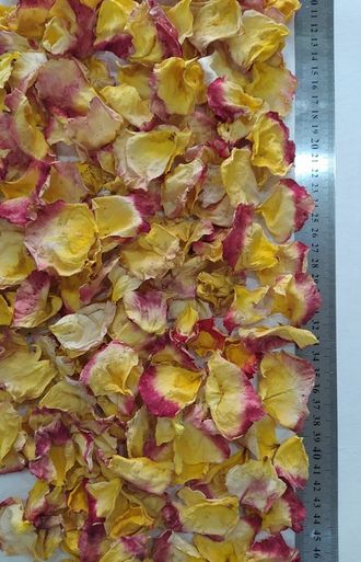 Лепестки розы в ассортименте, сухоцвет, 10 гр.
