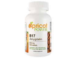Амигдалин В17 500 мг таблетки Apricot Power (США)