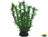 Ар0340 Растение Лигодиум 200мм