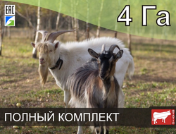 Электропастух СТАТИК-3М для коз на 4 Га - Удержит даже самого наглого козла!