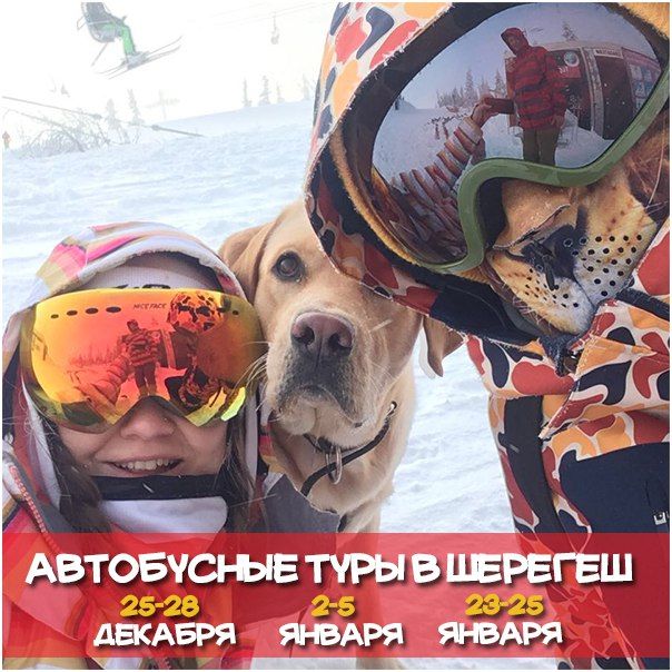Туры в Шерегеш из Новосибирска с проживанием. Поездка в шерегеш. Новогодние Туры в Шерегеш из Новосибирска