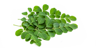 Моринга (Moringa) 60таб