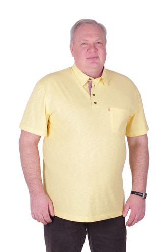 Стильная рубашка-поло мужская большого размера Артикул: 50164/31 Размеры 76-78