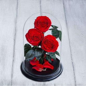 Стабилизированные три розы в колбе Lerosh - Premium 33 см, Красная
