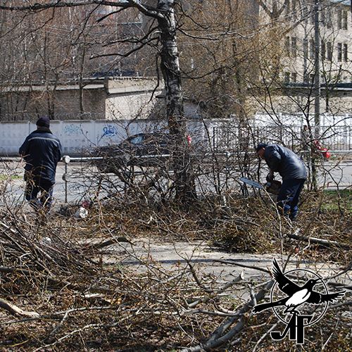 Уборка поваленных деревьев на Московской улице в Люберцах