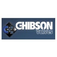 Ghibson