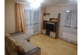 1-комнатная квартира в самом центре города, ул. Орджоникидзе, 8/1  (2 разд. спал. места)