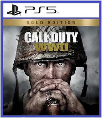 Call of Duty: WWII (цифр версия PS5 напрокат) RUS