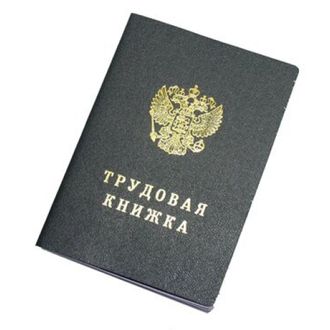 Трудовая книжка, ББ08/L