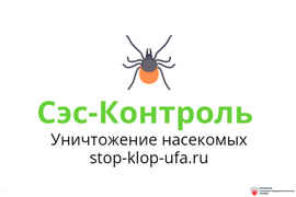 Уничтожение насекомых stop-klop-ufa.ru