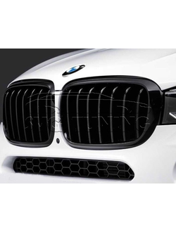 Ноздри M Perfomance BMW X5 F15