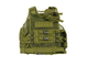 Разгрузочный жилет "Питон" олива
