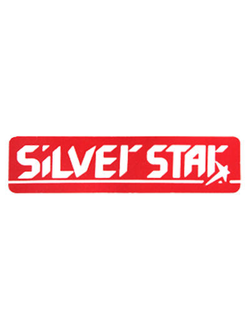 ❗-20%❗ Silver Star