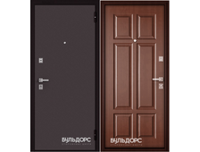 Дуб золотой