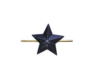 Звезда на погоны металлическая 20 мм черная (ФСИН)