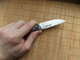 Нож складной полуавтоматический Ganzo G7211