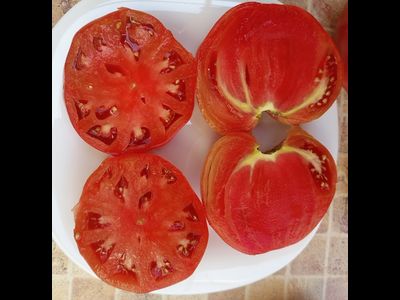 Томат Вишневый от Зуси (Zuzi)