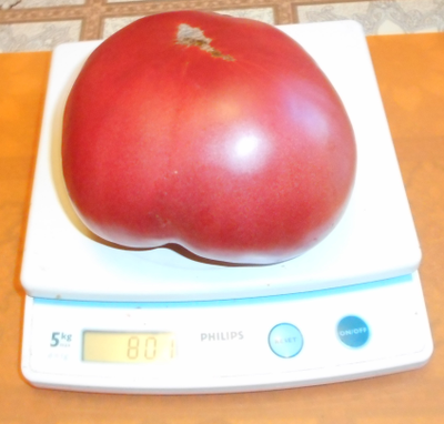 Томат Юсуповский