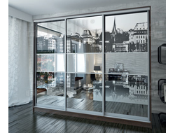 Шкаф-купе Ариадна 018