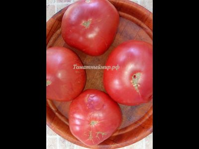 Томат Дикая роза