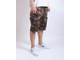 Шорты Anteater BCargoshorts Camo