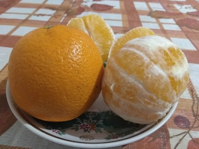 Сок апельсиновый свежевыжатый купить с фермы | ферма СытникЪ