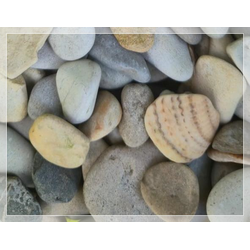 Морской Микс