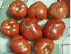 Томат Хелен немецкий (Helen's German)
