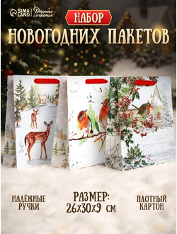 Подарочные Пакеты 3 шт