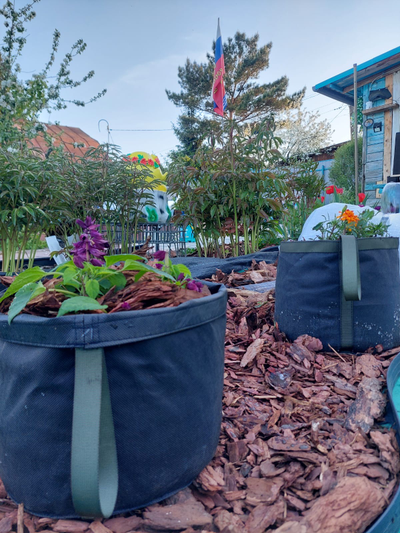 Кашпо 4 литра напольное. Умный тканевый горшок Гроубэг