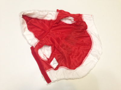 Шубка для собаки Санта