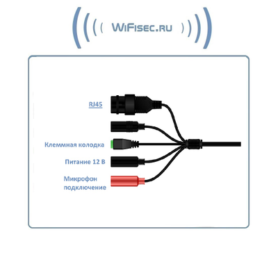 WiFi/LAN видеокамера с DVR и выходом для подключения микрофона, Full HD 2 Mp