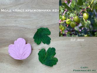 Молд «Лист крыжовника  #2» (ELF_decor)