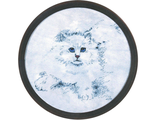 Кошачий взгляд  1016, Alisena (набор для вышивания нитками) vkn