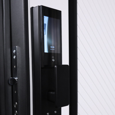 Стальная дверь   Гавана (биометрический замок). Заказная модель.