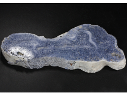 Коралл голубой Акори, Австралия (137*57*14 мм, 129 г) №37716