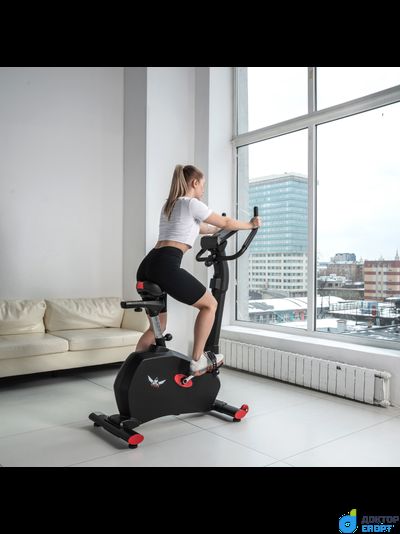 Велотренажер DFC Cardio B255P электромагнитный