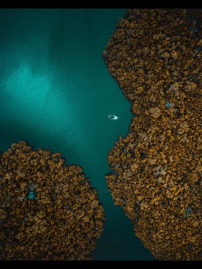 Картина обогреватель, спутниковое фото острова Марко в Мексиканском заливе