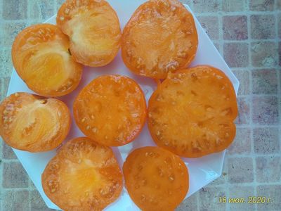 Томат Летний абрикос (Болгария)